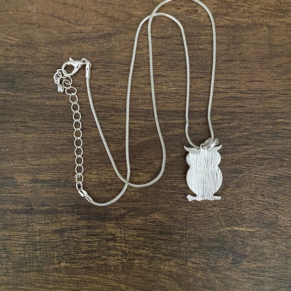 🦉 HOST PICK! 🦉Iridescent Owl Necklace on a Silver Chain - Picture 3 of 3